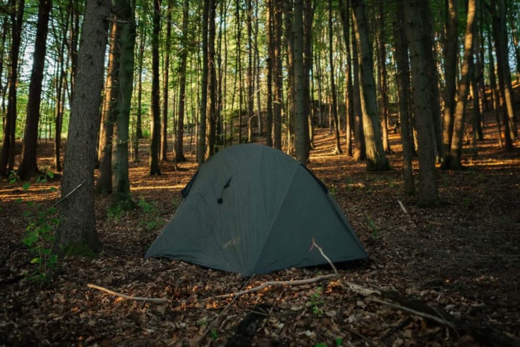 Person wild camping in a tent in the middle of a forest in England