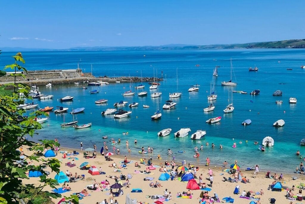 wild camping new quay wales